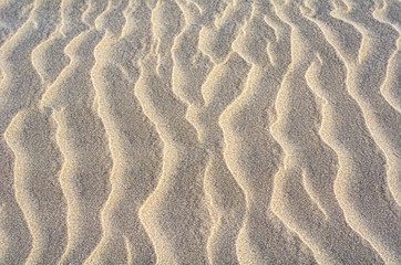 Texture of sand.