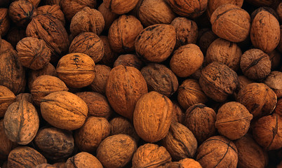 Walnuts in a shel