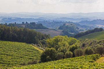 Magnificent view of picturesque Tuscany landscape with vineyards, cypress and olive trees in the Chianti region, Italy