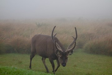 world's end, nuwara eliya, sri lanka