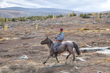 mongolian man on a horse in a taiga landscape of northern Mongolia