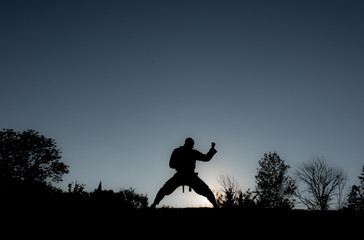 Martial Artists Silhouette - Forearm Block