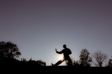 Martial Artists Silhouette - Defensive Posture