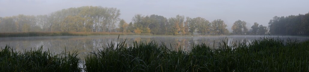 Morning foggy pound in the countryside in the autumn