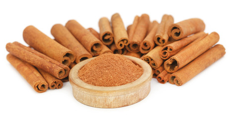 Some fresh aromatic cinnamon with powder spice