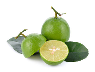 Fresh lime green