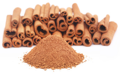 Some fresh aromatic cinnamon with powder spice