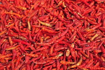 Fototapeta premium Red Spicy Chile