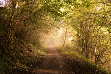 A hiking trail in the English Peak District.