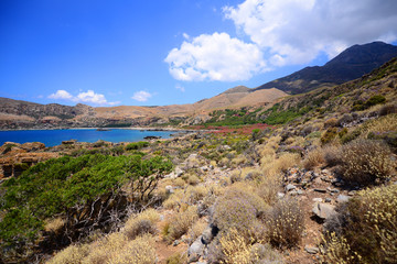 Naklejka premium Mediterranean landscape