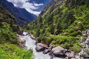 Poster Landscape of a mountain river with traditional nature of Kullu valley. Naggar, Himachal Pradesh. North India. © Dmitry Yakovtsev