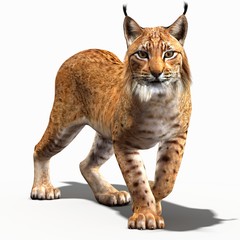 Lynx (3D) © ANDRANIK