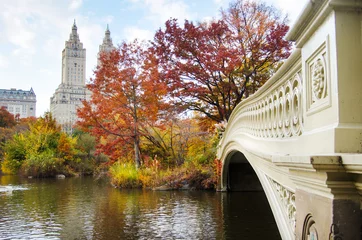 Peel and stick wall murals New York Autumn in Central Park in the city of New York, USA