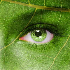 Leaf texture on human face. Ecology concept. - obrazy, fototapety, plakaty