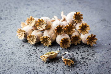 Poppy seed capsules on stone background. Selective focus, close up, space for text.