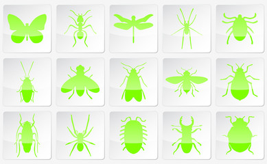 Large and detailed icons of different neon colored insects
