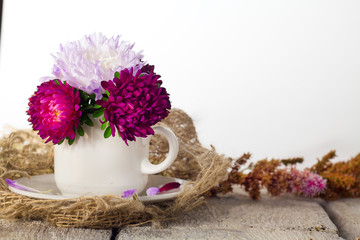 A cup of flower aster for decoration interior room. Pink beautiful flower on white table background.