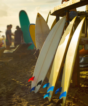Beach surfers rental surfboards sunset