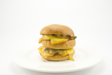 Delicious burger on a plate after cooking