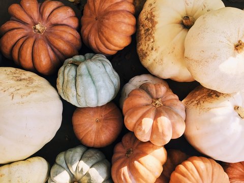 Beautiful Imperfect Pumpkins