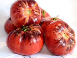 Fototapeta na wymiar Tomates del huerto con fondo blanco