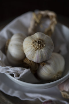 Pink garlic
