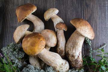 Composition with harvested wild porcini mushrooms on wooden background. Flat lay, top view