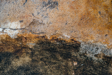 texture of cement