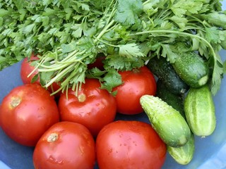 a set of fresh vegetables and greens