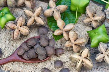 sacha inchi, sacha peanut, mountain peanut, Inca nut or Inca-peanut