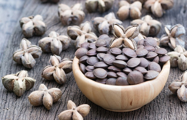 sacha inchi, sacha peanut, mountain peanut, Inca nut or Inca-peanut