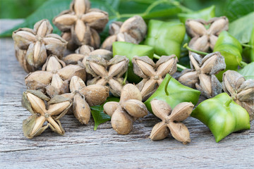 sacha inchi, sacha peanut, mountain peanut, Inca nut or Inca-peanut