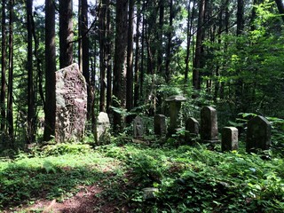 Forest sacred stones 