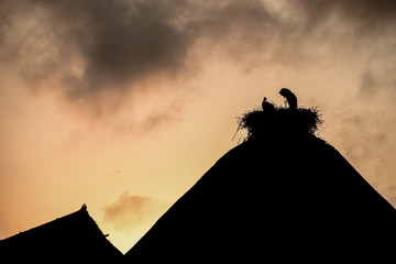 Nature and structures