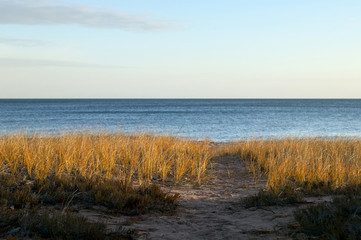 Beautiful serene beach scene with grass and lake