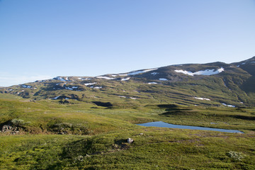 Landscape in the valley Kåfjorddalen, summer