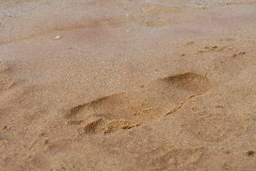 Fußspur / Fußspur im Sand
