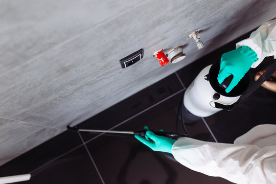 Exterminator In Workwear Spraying Pesticide With Sprayer