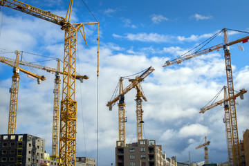 Fototapeta premium construction cranes
