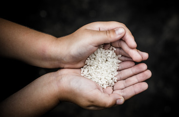 Two palms stacked together child. The palms is a lot of rice grains
