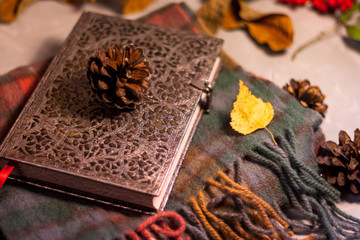 Colorful women's warm clothing - scarf - decorated with yellow autumn leaves and a fir cone, notebook/ Clothes isolated on light background, Fashion design concept