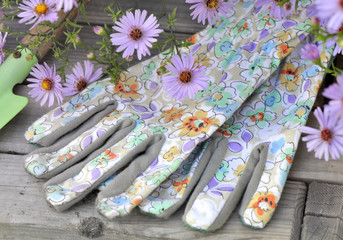 gants de jardinage et fleurs mauves © coco