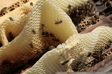 Highlights from village life, Kutahya, Turkey