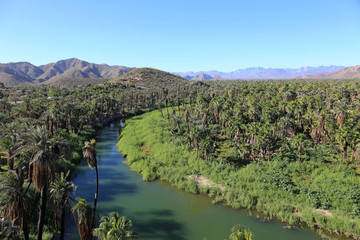 Oasis Mulege, Baja California Baja California Sur, Mexico
