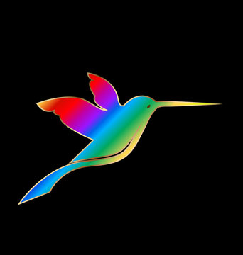 Hummingbird on a black background vector design