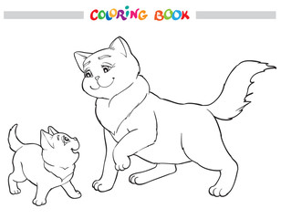 Vector illustration cat mother with kitten. Coloring book
