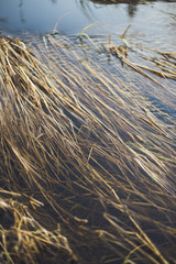 water in ditch