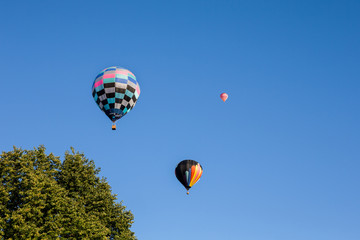 Fototapeta premium Hot Air Balloons with Tree in Foreground