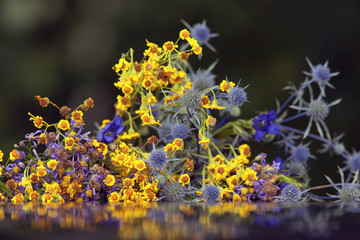 a bouquet of small flowers with colourful petals