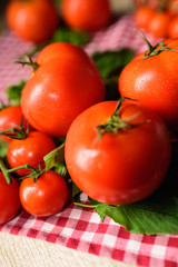 Many tomatoes are placed on a plaid tablecloth.